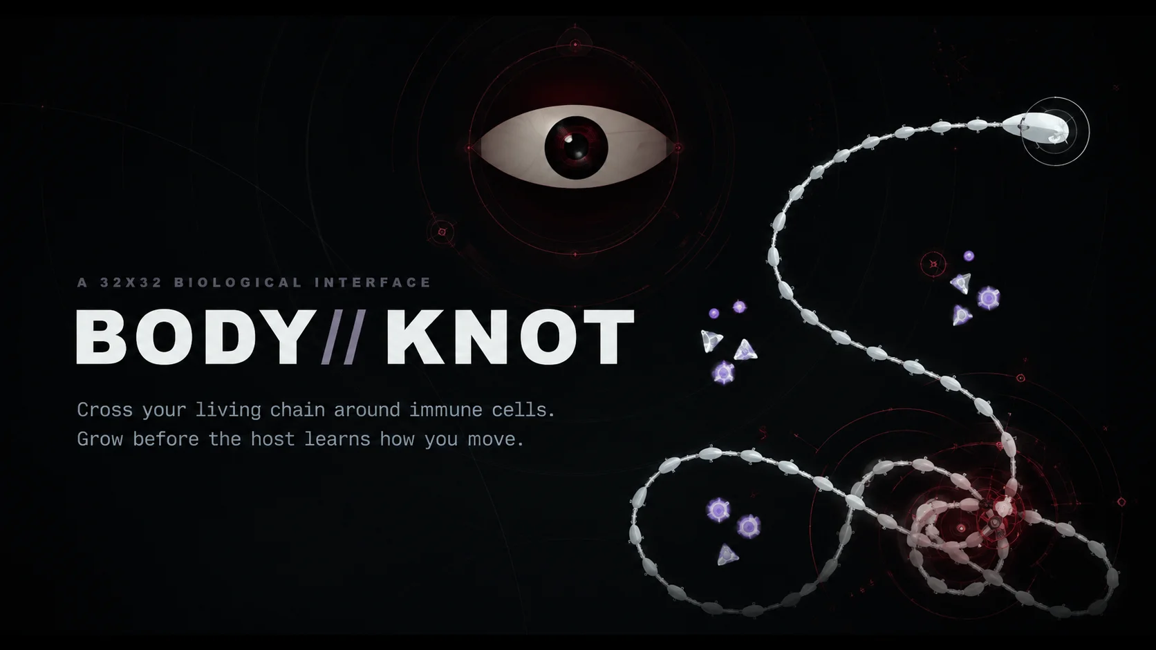 BODY//KNOT cover image